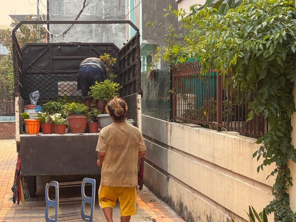 Woman arranging potted plants for relocation